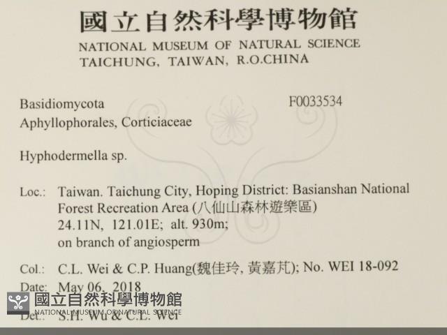 登錄號:F0033534藏品圖，第2張