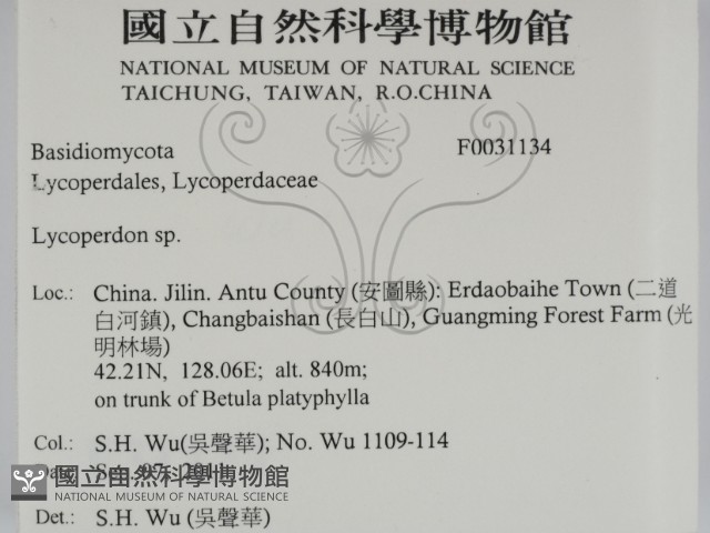 登錄號:F0031134藏品圖，第2張