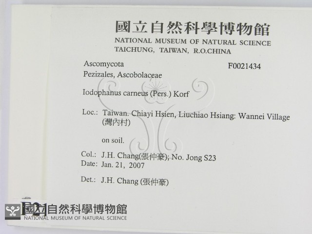 登錄號:F0024134藏品圖，第2張
