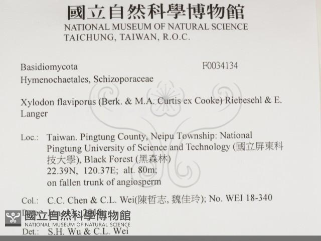 登錄號:F0034134藏品圖，第2張