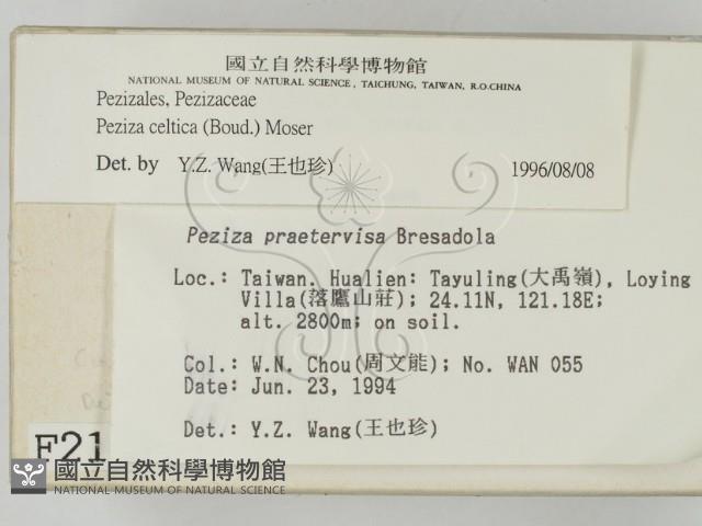 登錄號:F0002134藏品圖，第2張