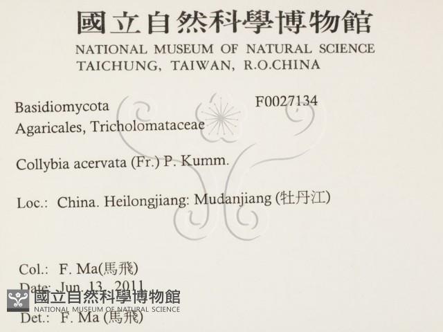 登錄號:F0027134藏品圖，第2張