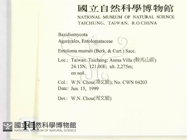 登錄號:F0013134藏品圖，第2張