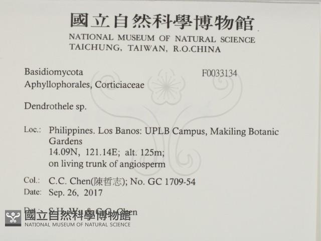 登錄號:F0033134藏品圖，第2張
