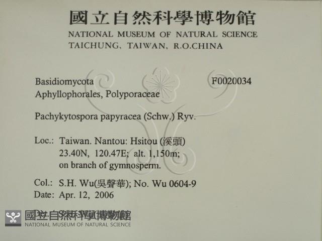 登錄號:F0020034藏品圖，第2張