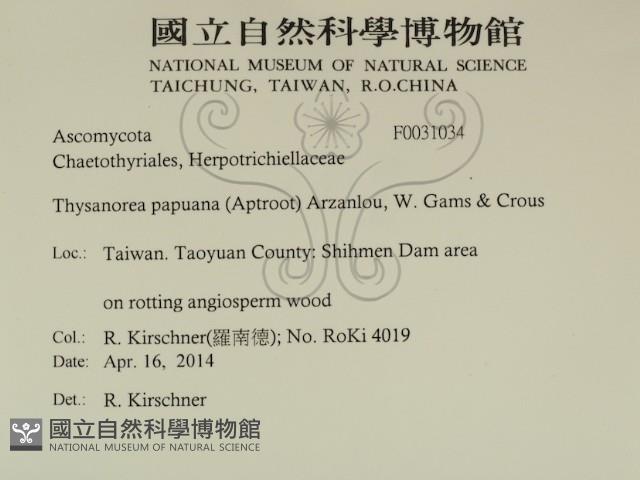 登錄號:F0031034藏品圖，第2張