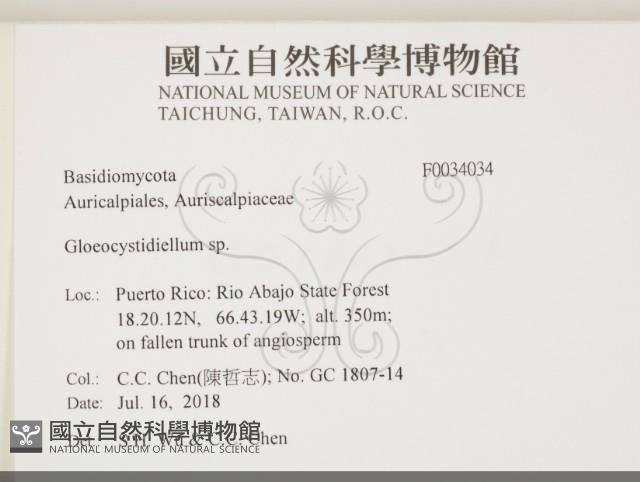 登錄號:F0034034藏品圖，第2張