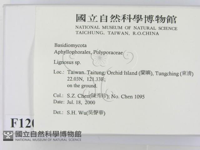 登錄號:F0012034藏品圖，第2張