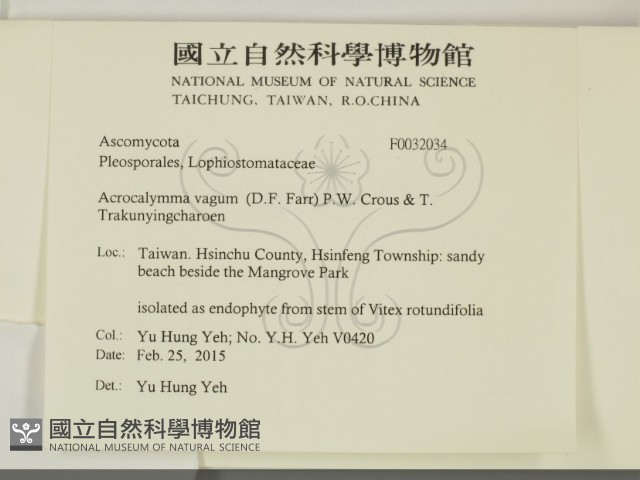 登錄號:F0032034藏品圖，第2張