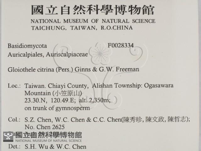 登錄號:F0028334藏品圖，第2張
