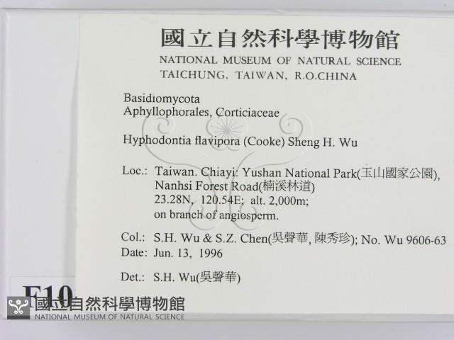 登錄號:F0010334藏品圖，第2張