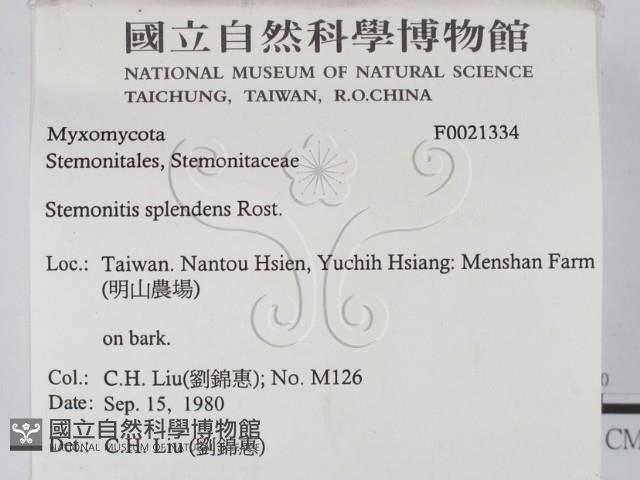 登錄號:F0021334藏品圖，第2張