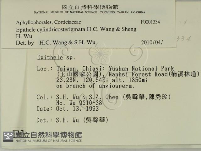 登錄號:F0001334藏品圖，第2張