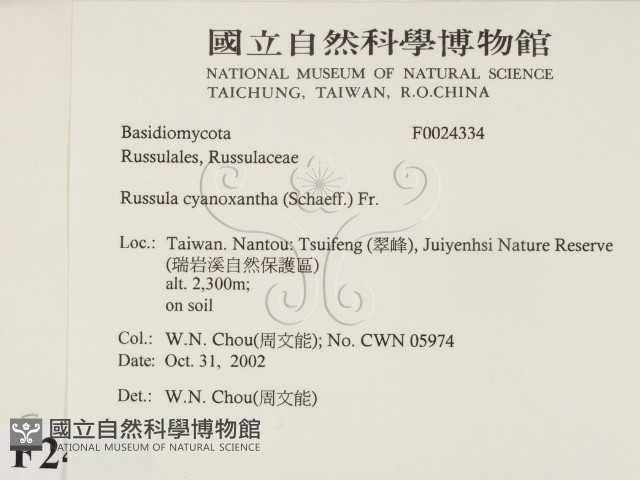 登錄號:F0024334藏品圖，第2張