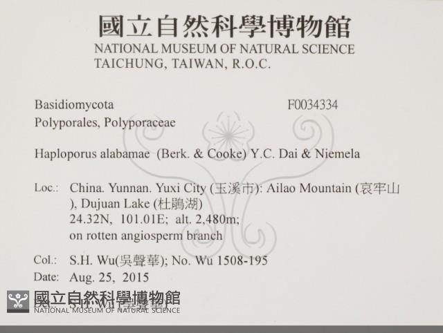 登錄號:F0034334藏品圖，第2張
