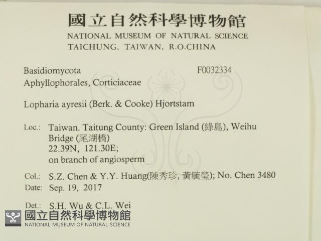 登錄號:F0032334藏品圖，第2張