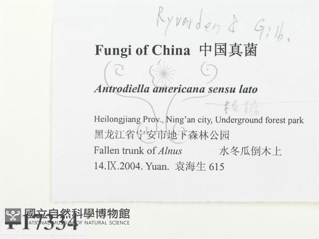 登錄號:F0017334藏品圖，第2張