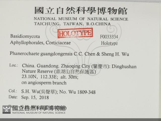 登錄號:F0033334藏品圖，第2張