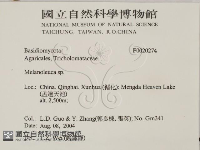 登錄號:F0020274藏品圖，第2張