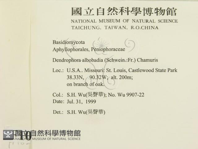 登錄號:F0010274藏品圖，第2張