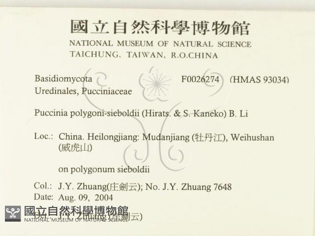 登錄號:F0026274藏品圖，第2張