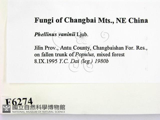 登錄號:F0006274藏品圖，第2張