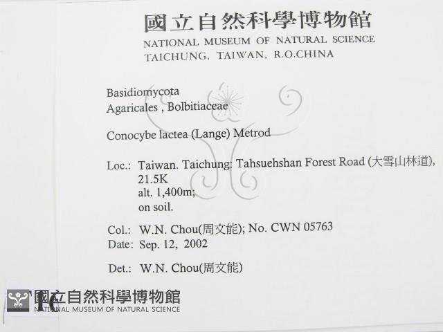 登錄號:F0016274藏品圖，第2張