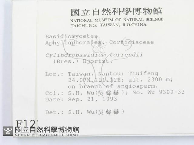 登錄號:F0001274藏品圖，第2張