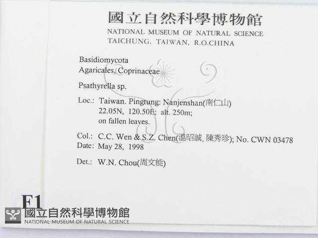 登錄號:F0011274藏品圖，第2張