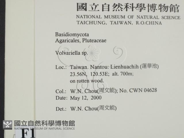 登錄號:F0014274藏品圖，第2張