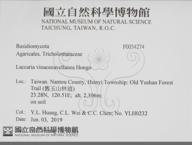 登錄號:F0034274藏品圖，第2張