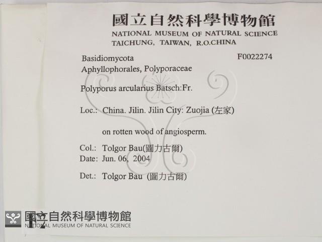 登錄號:F0022274藏品圖，第2張