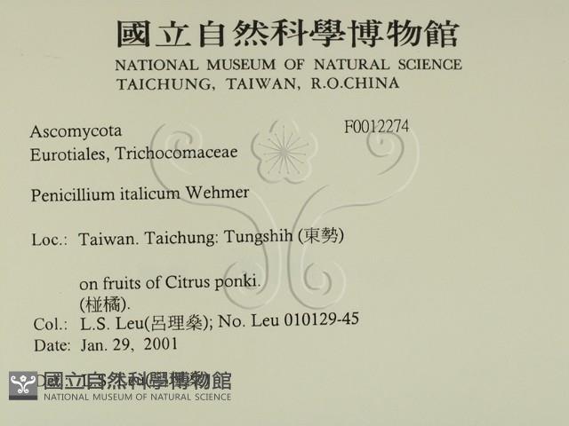 登錄號:F0012274藏品圖，第2張