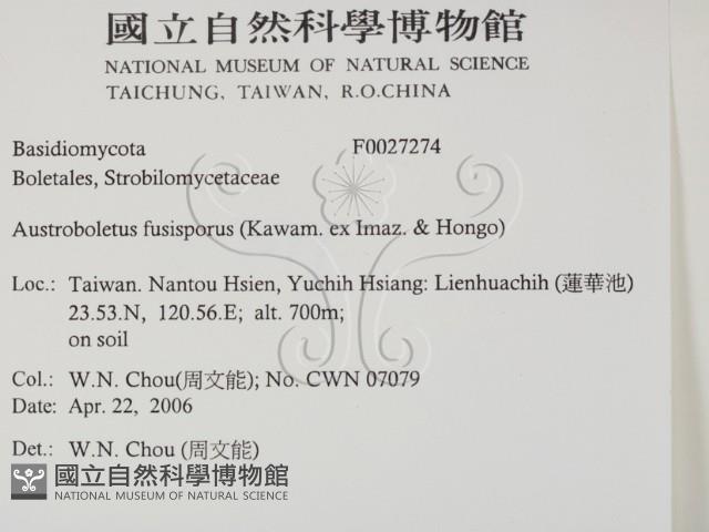 登錄號:F0027274藏品圖，第2張