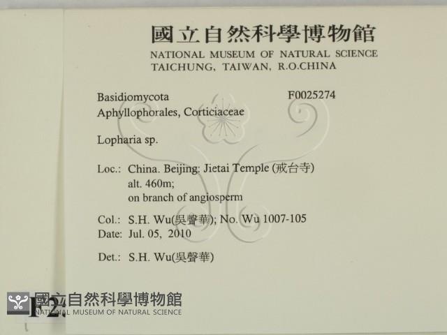 登錄號:F0025274藏品圖，第2張