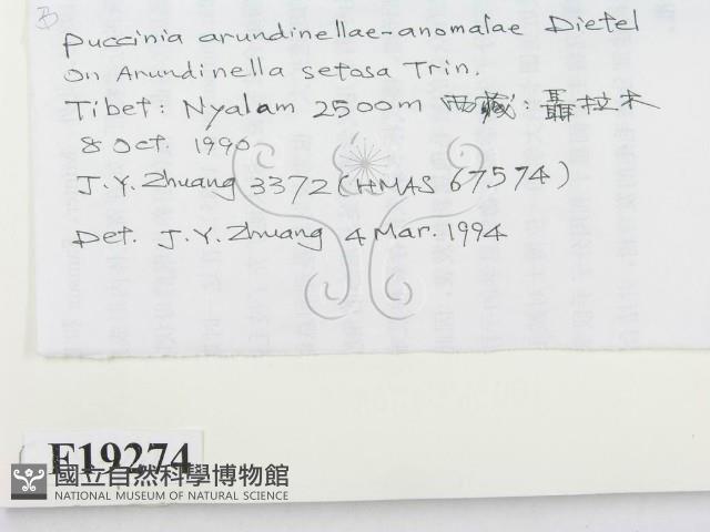 登錄號:F0019274藏品圖，第2張