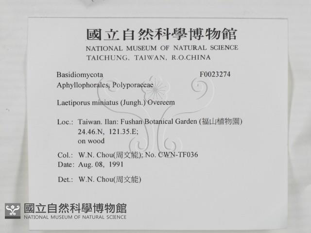 登錄號:F0023274藏品圖，第2張