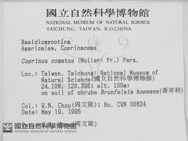 登錄號:F0003274藏品圖，第2張