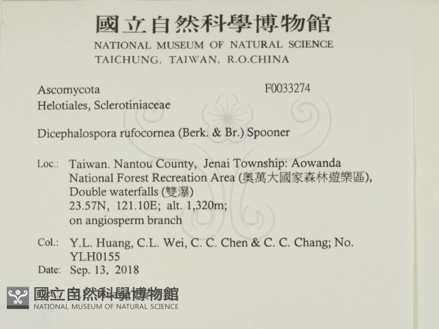 登錄號:F0033274藏品圖，第2張