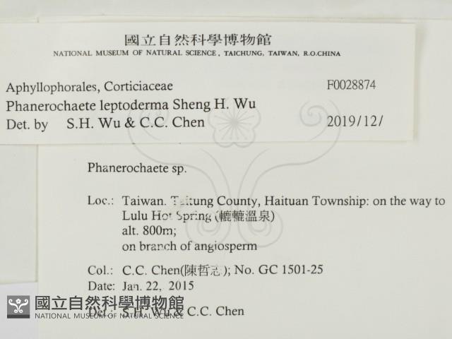 登錄號:F0028874藏品圖，第2張