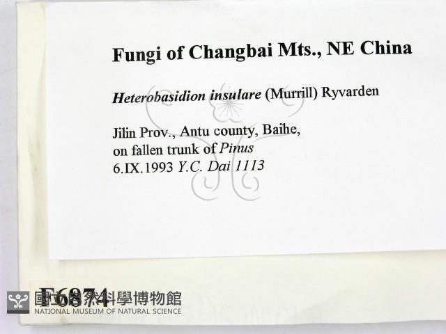 登錄號:F0006874藏品圖，第2張