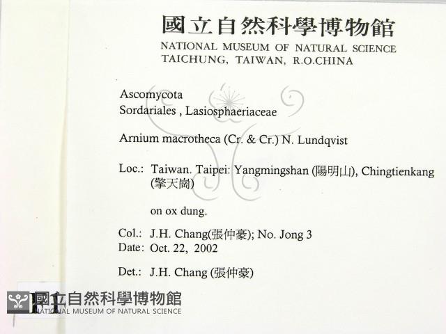 登錄號:F0016874藏品圖，第2張