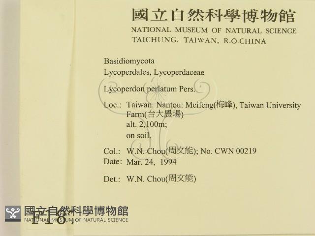 登錄號:F0001874藏品圖，第2張