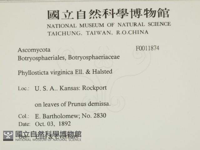 登錄號:F0011874藏品圖，第2張