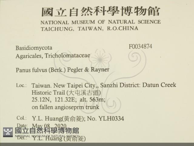 登錄號:F0034874藏品圖，第2張