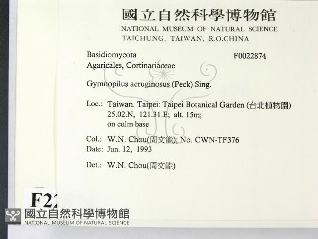 登錄號:F0022874藏品圖，第2張