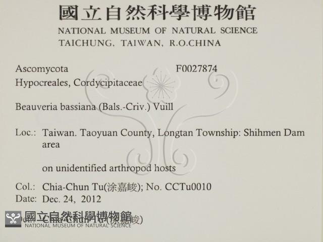 登錄號:F0027874藏品圖，第2張