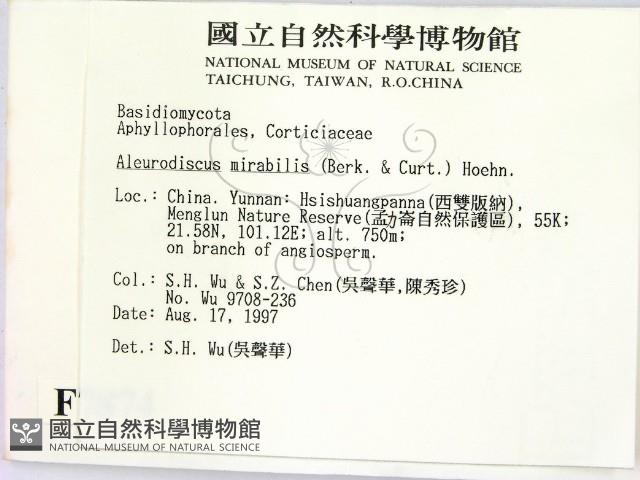 登錄號:F0007874藏品圖，第2張