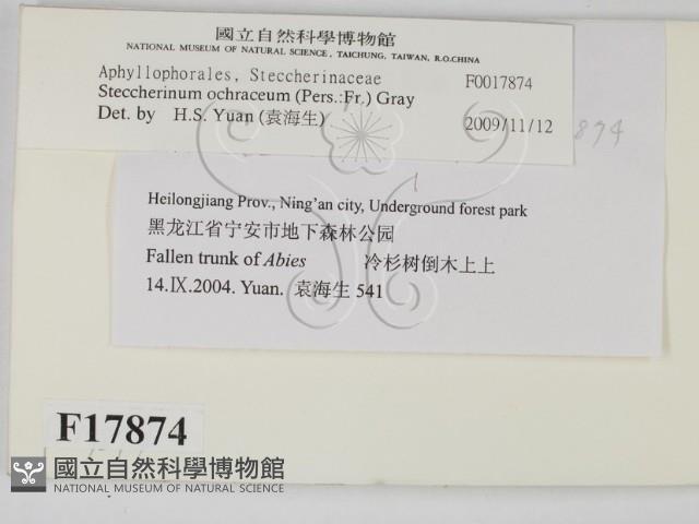 登錄號:F0017874藏品圖，第2張