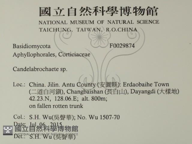 登錄號:F0029874藏品圖，第2張